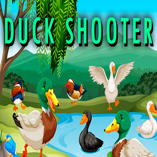  Duck Shooter