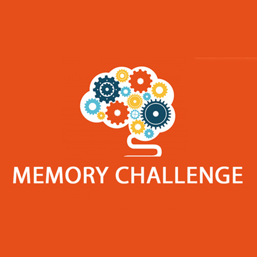  Memory Challenge
