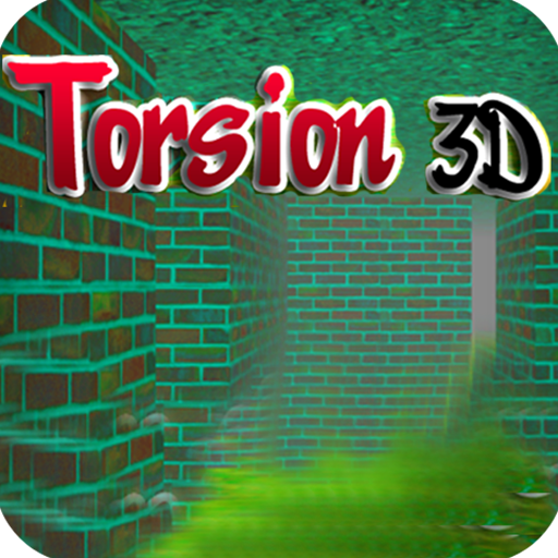  Torsion 3D